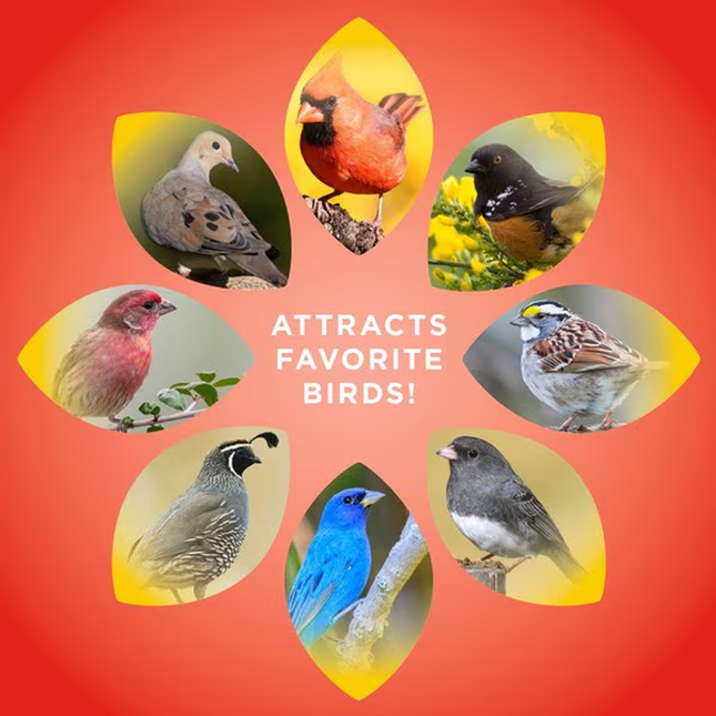 Audubon™ | Park Wild Bird Food | 20lbs