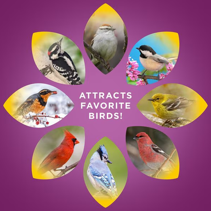 Audubon™ | Nut & Fruit Blend | Wild Bird Food | 15LB