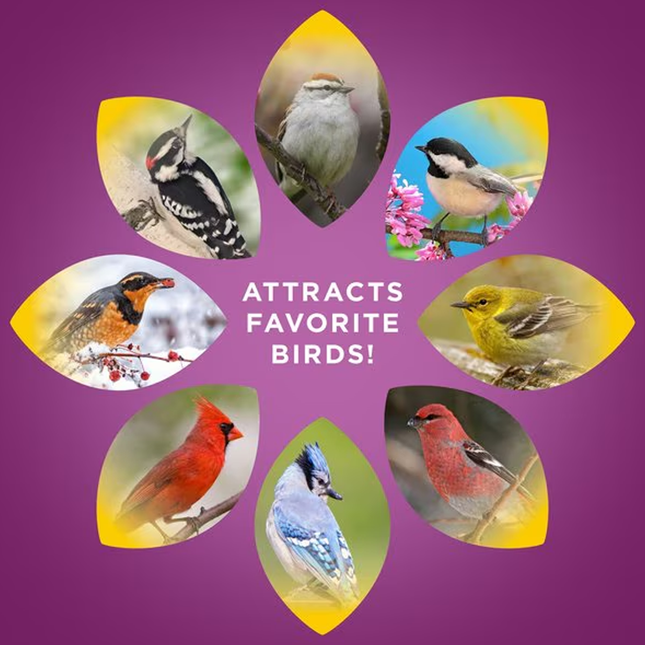 Audubon™ | Nut & Fruit Blend | Wild Bird Food | 15LB