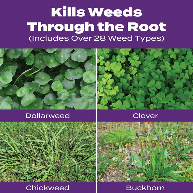 Scotts™ | Scotts Turf Builder Bonus S Southern Weed & Feed | 34.48 lbs.