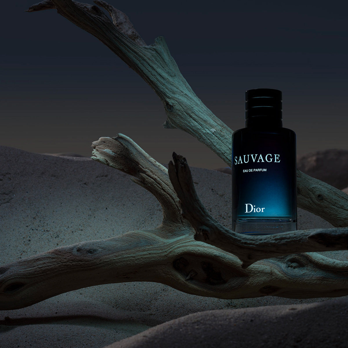 Dior™ Sauvage Eua de Parfum