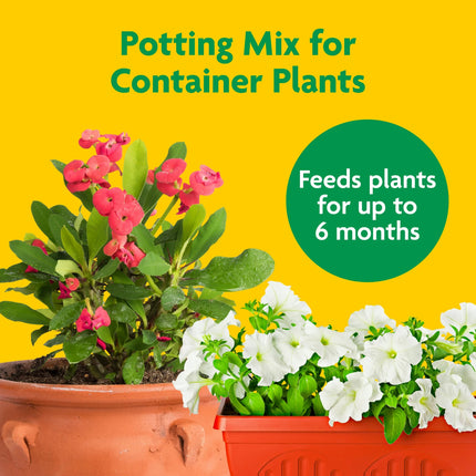 Miracle Gro™ | Potting Mix, For Indoor or Outdoor Potted Plants, Flowers, Shrubs | 8qt